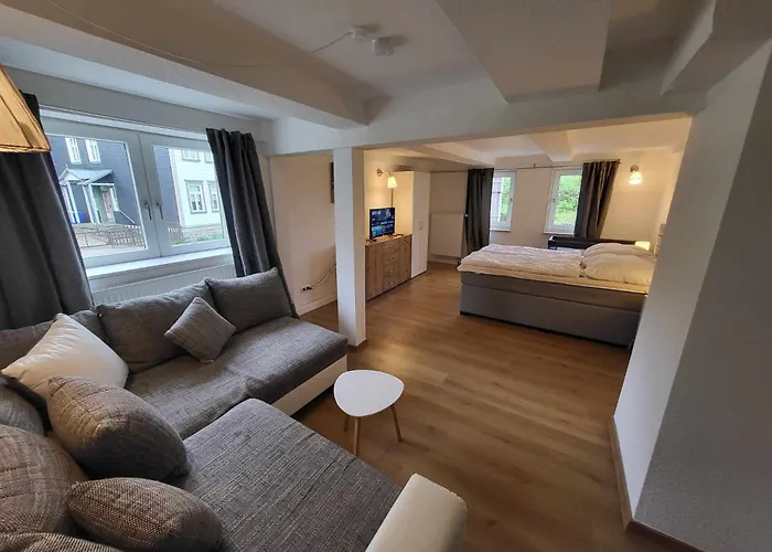 Mai-Ferienhaus-Harz 210Qm