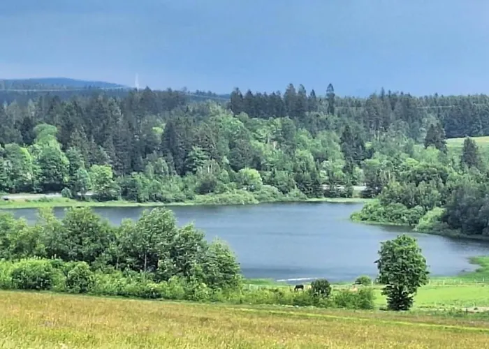 Mai-Ferienhaus-Harz 210Qm