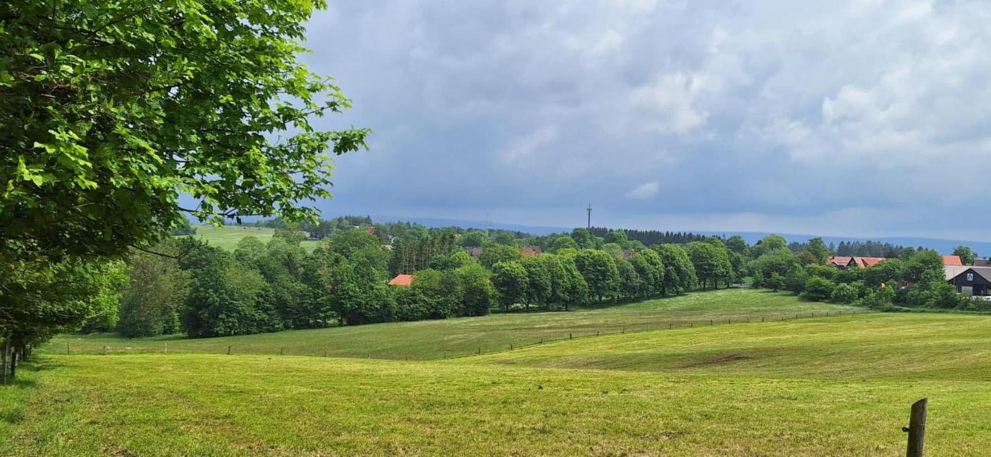 Holiday home Mai-ferienhaus-harz 210qm Clausthal-Zellerfeld
