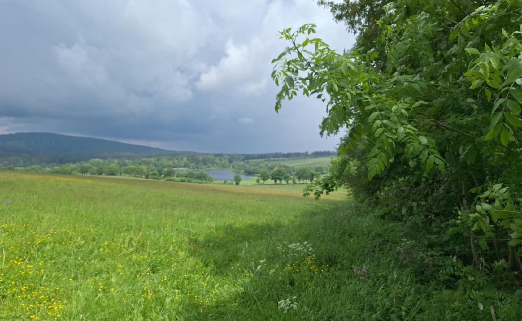Holiday home Mai-ferienhaus-harz 210qm Clausthal-Zellerfeld